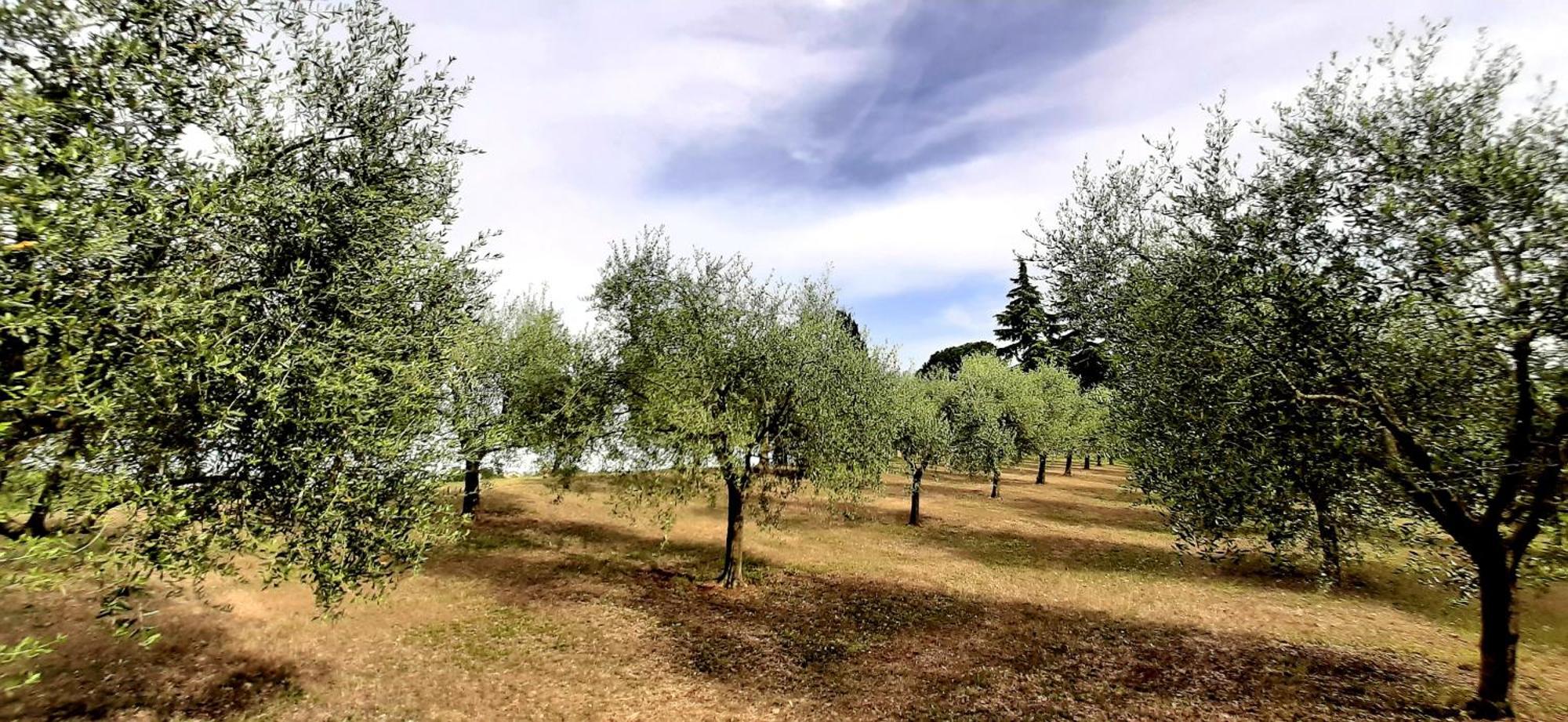 Room&Breakfast La Gramadora Castel San Pietro Terme Exterior foto